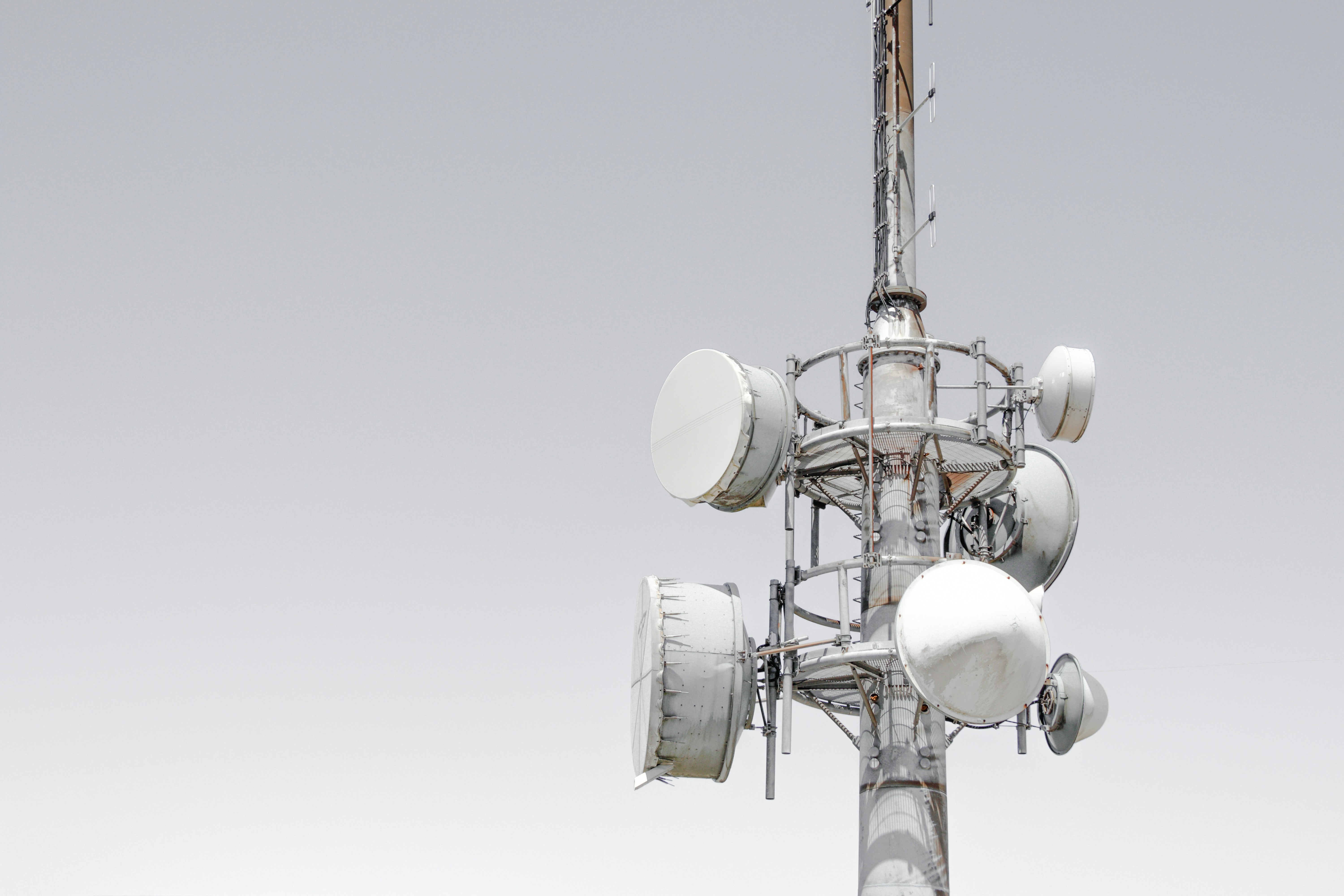 Leading American Telecom Company